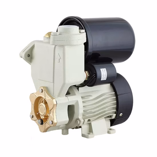 0.5HP Electric Auto Pressure Self-Priming Centrifugal Jet Centrifugal Peripheral Water Pump